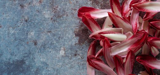 L'autre perle du nord l'endive rouge