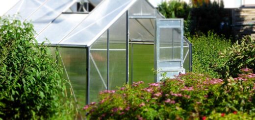 Comment choisir sa serre de jardin