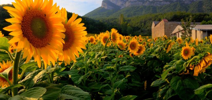 Dieulefit, au coeur de la Drôme provençale