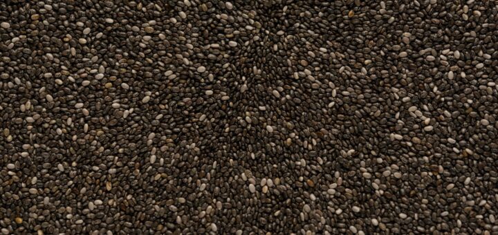 Les graines de chia sont-elles vraiment bonnes pour la santé ?