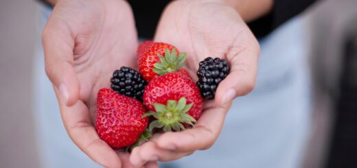Comment avoir de belles fraises cet été ?