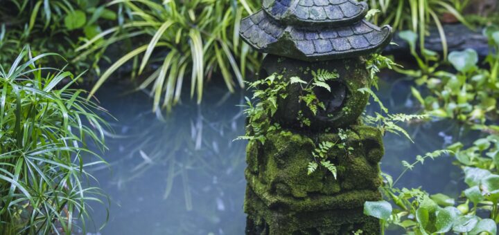 Bassin de jardin : comment en installer un ?