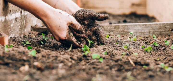 Un potager en hiver, c’est facile !