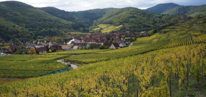 Le sud de l'Alsace, une région à part