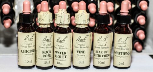 Les Fleurs de Bach, mieux vivre avec ses émotions