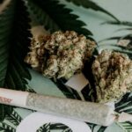 Pourquoi le cannabis est-il interdit en France ?