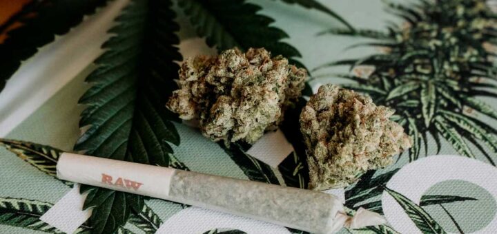 Pourquoi le cannabis est-il interdit en France ?