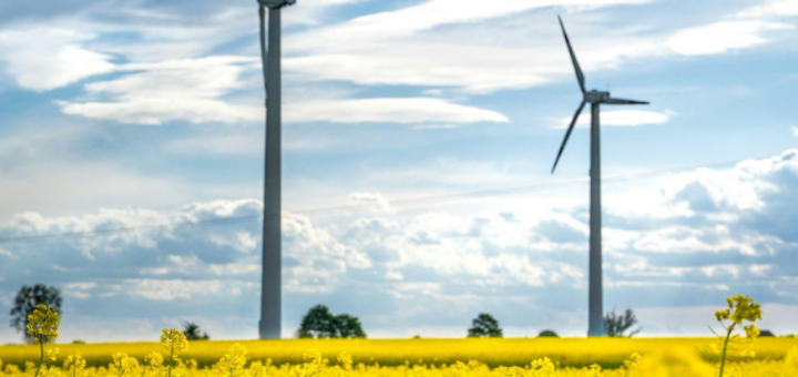 Responsabilité Sociétale des Entreprises (RSE) : les labels à connaître