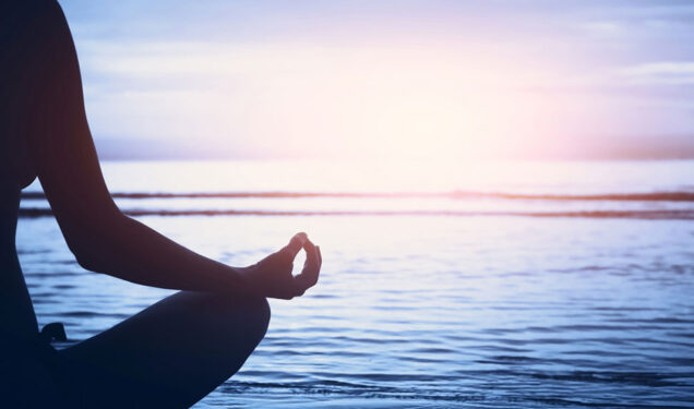 texture anatomique r&eacute;aliste sous &eacute;clairage naturel tamis&eacute;