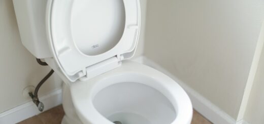 Comment faire revenir ses toilettes comme neuf ?